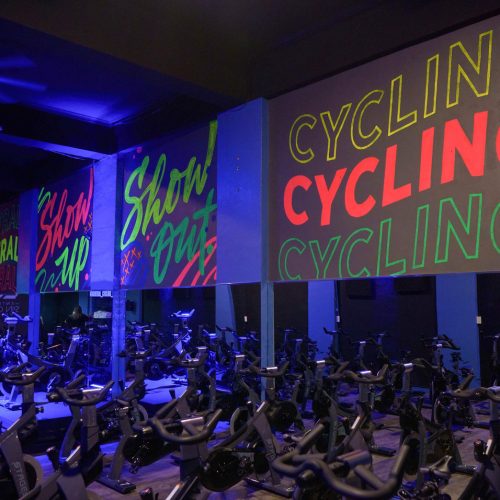 established workflows